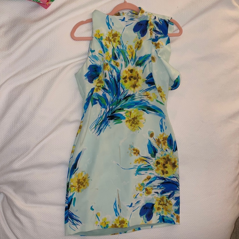 Blanks Halo size 2 dress worn once